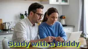buddy.webp